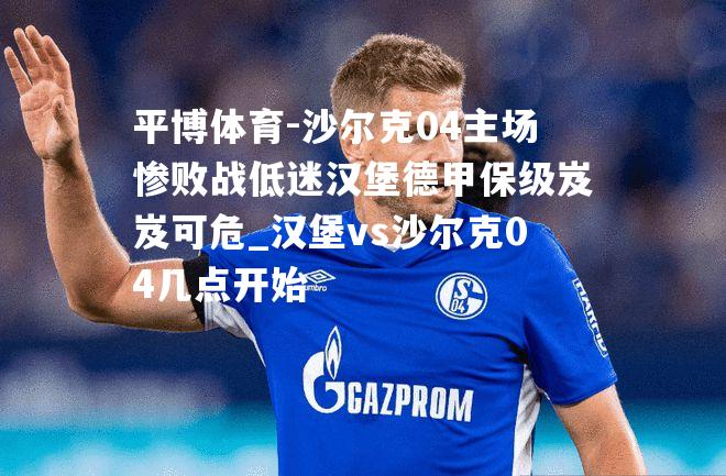 沙尔克04主场惨败战低迷汉堡德甲保级岌岌可危_汉堡vs沙尔克04几点开始