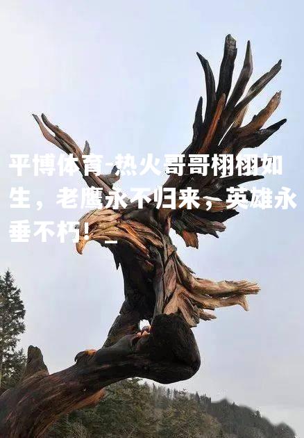 热火哥哥栩栩如生，老鹰永不归来，英雄永垂不朽！_